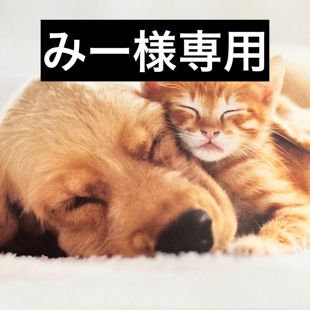 みー