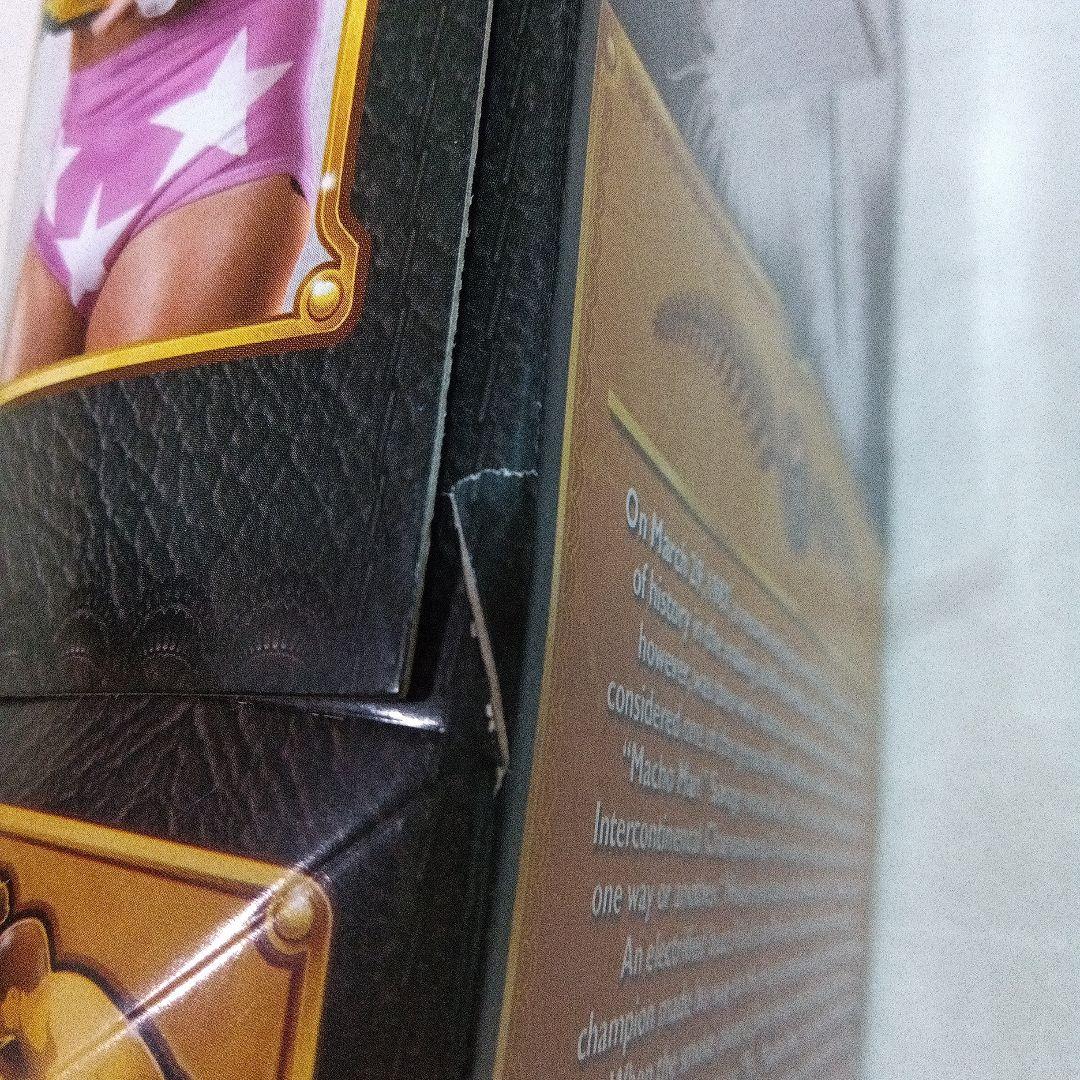 ★未開封・未使用★ ランディ・サベージ プロレスフィギュア