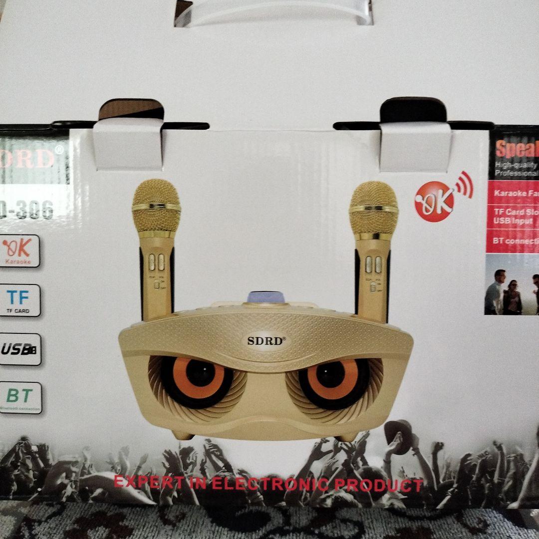 SDRD カラオケマイクワイヤレス２本