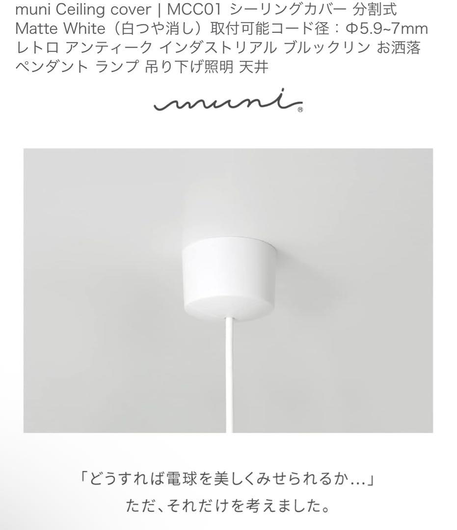 AQUA ODELIC ペンダントライト OP 252 545LR