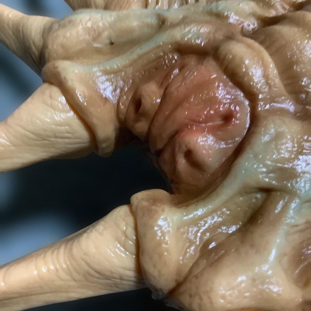 エイリアン★ソフビ★ガレージキット★フェイスハガー★1/1実物大★ツクダホビー