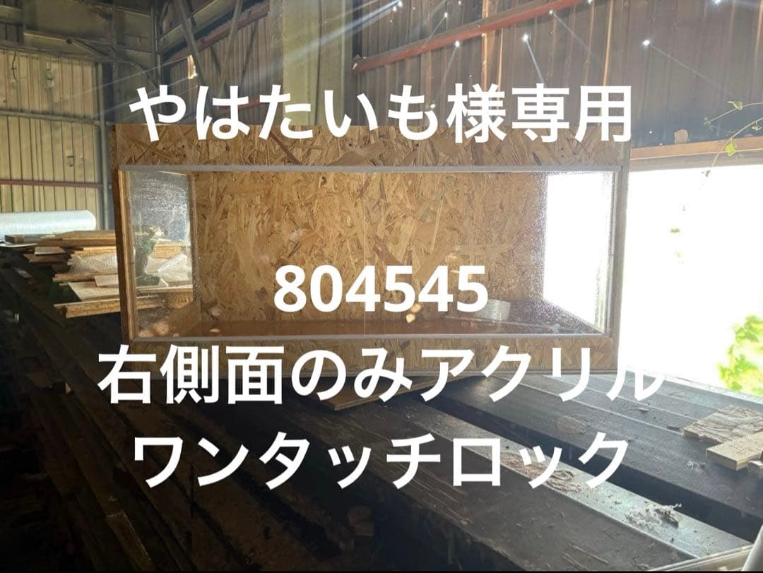 やはたいも　804545