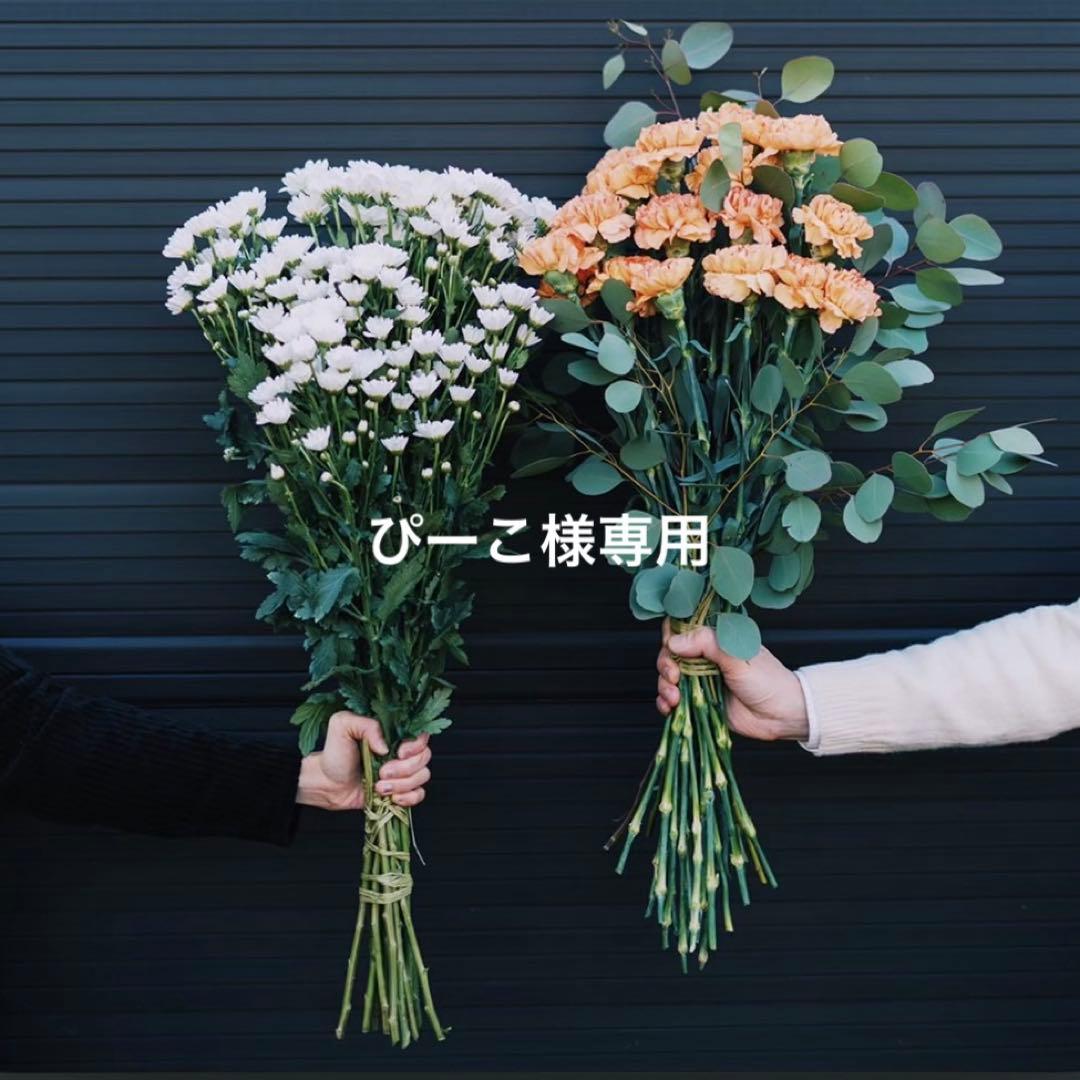 ぴーこ