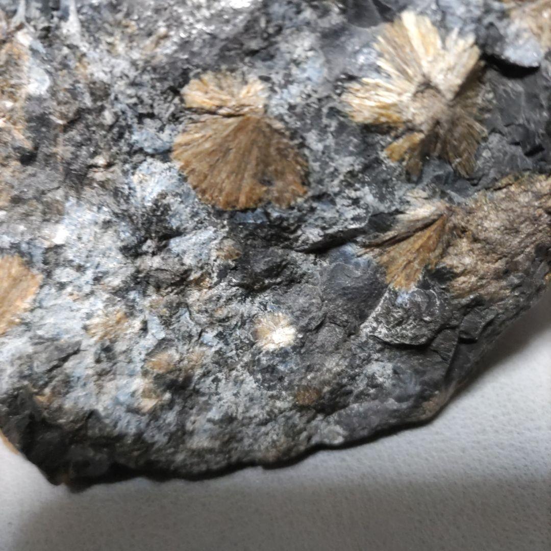 菊花石　置物