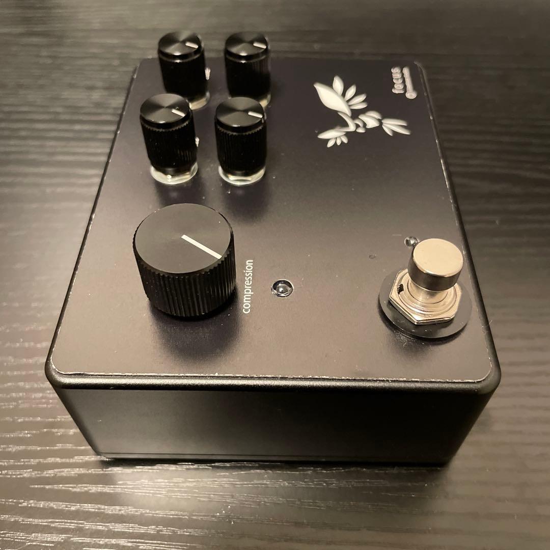 Limetone Audio focus black 限定カラー