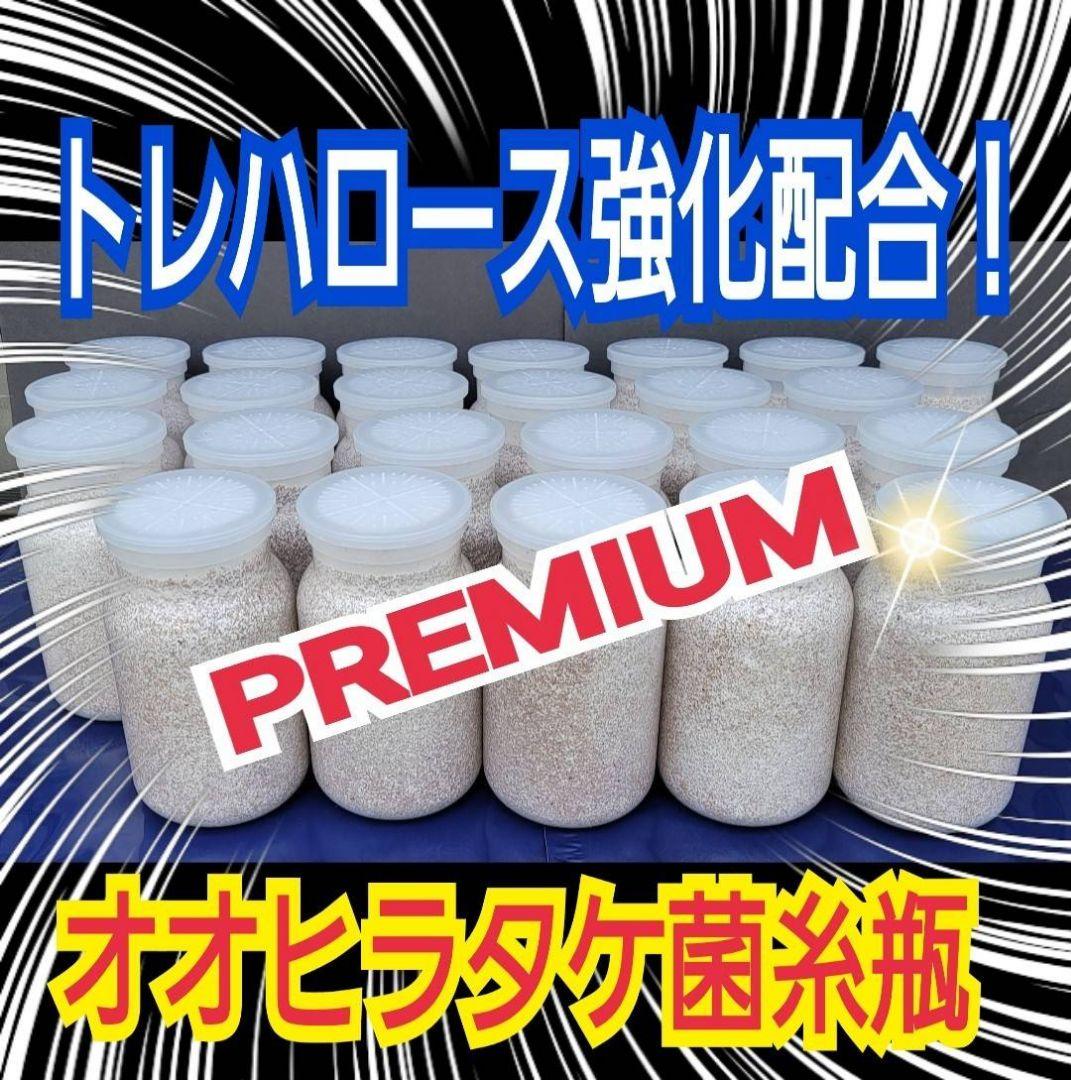 極上！オオヒラタケ菌糸瓶【8本】特殊アミノ酸強化！オオクワ、ヒラタ、ニジイロに！