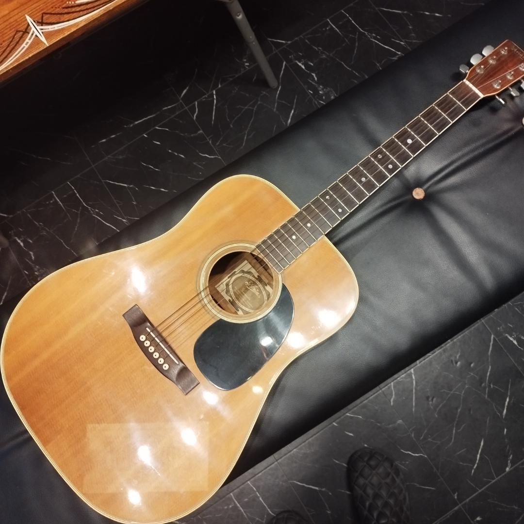 Aria ＆ co アコースティックギター　W-200