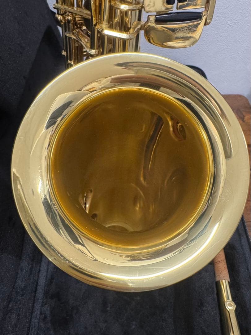 Ｊ.Michael アルトサックスAL500セミハードケース付き