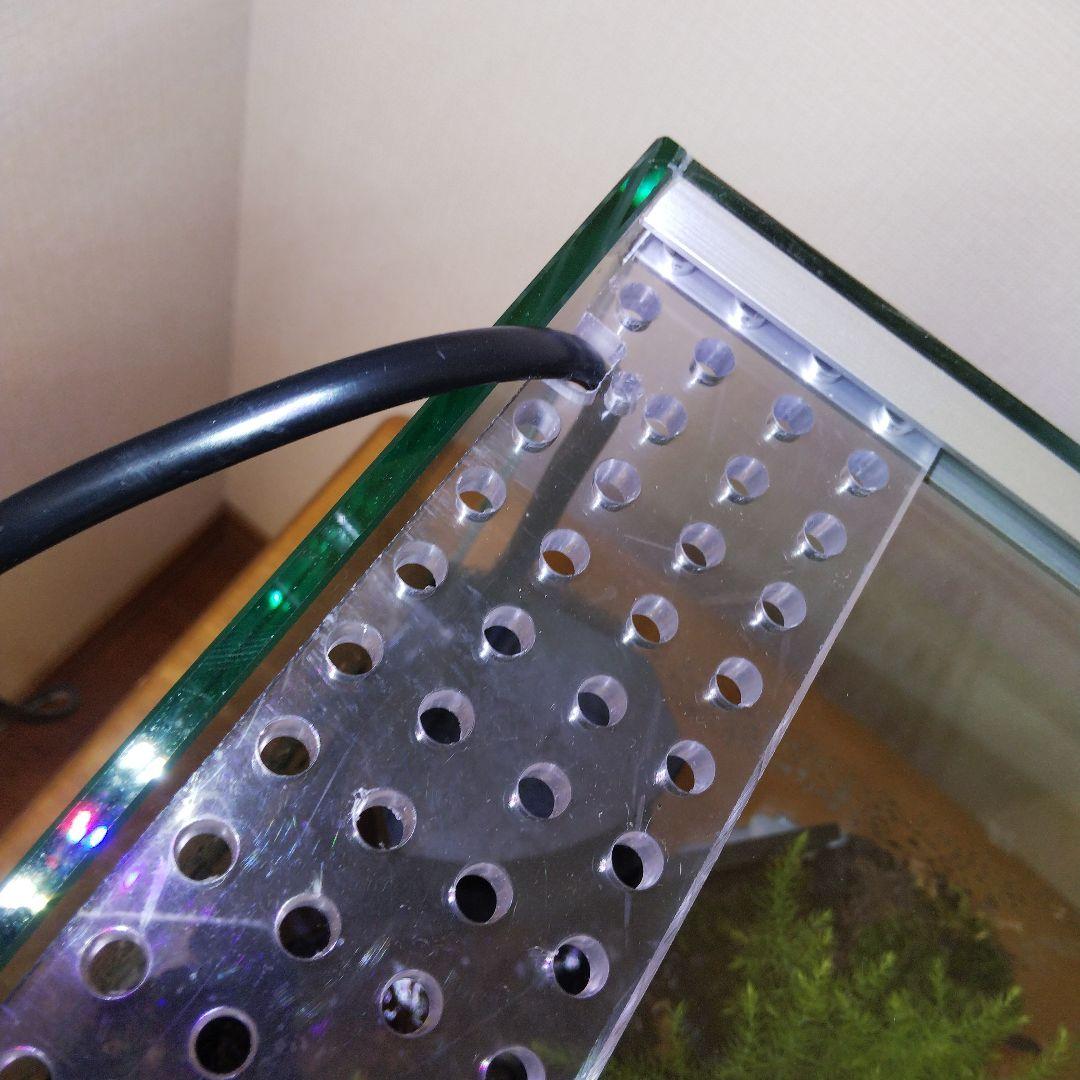 アクアテラリウム完成品 イモリウム 苔テラリウム 滝のあるアクアテラリウム