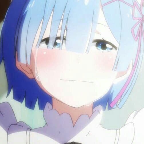 ぎねこ丸
