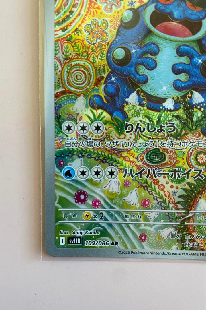 フシギバナ EX セット5枚