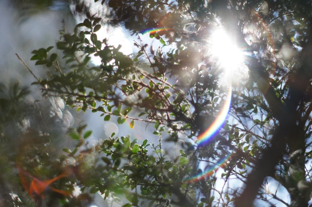 作例有・極美フレア✨ PENTAX スーパータクマー 55mm f1.8 後期