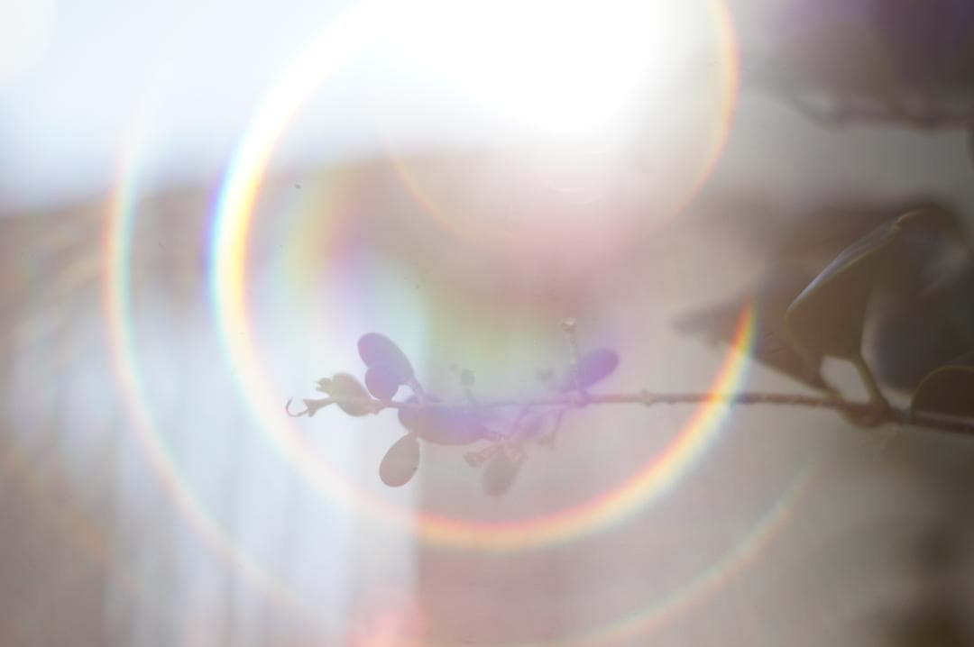 作例有・極美フレア✨ PENTAX スーパータクマー 55mm f1.8 後期