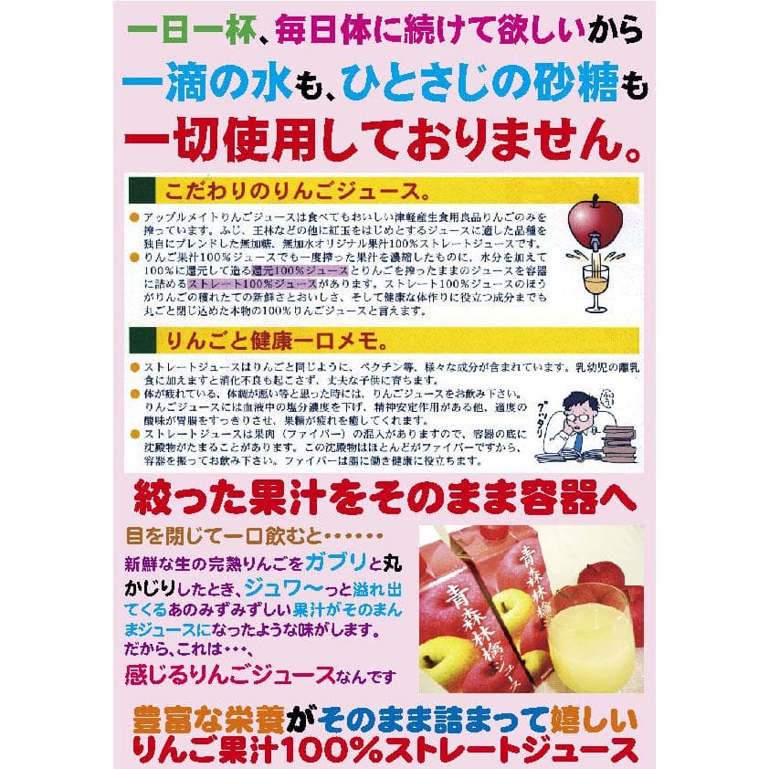 果汁100%アップルメイトりんごジュース1000ml紙パック3本入4箱/計12