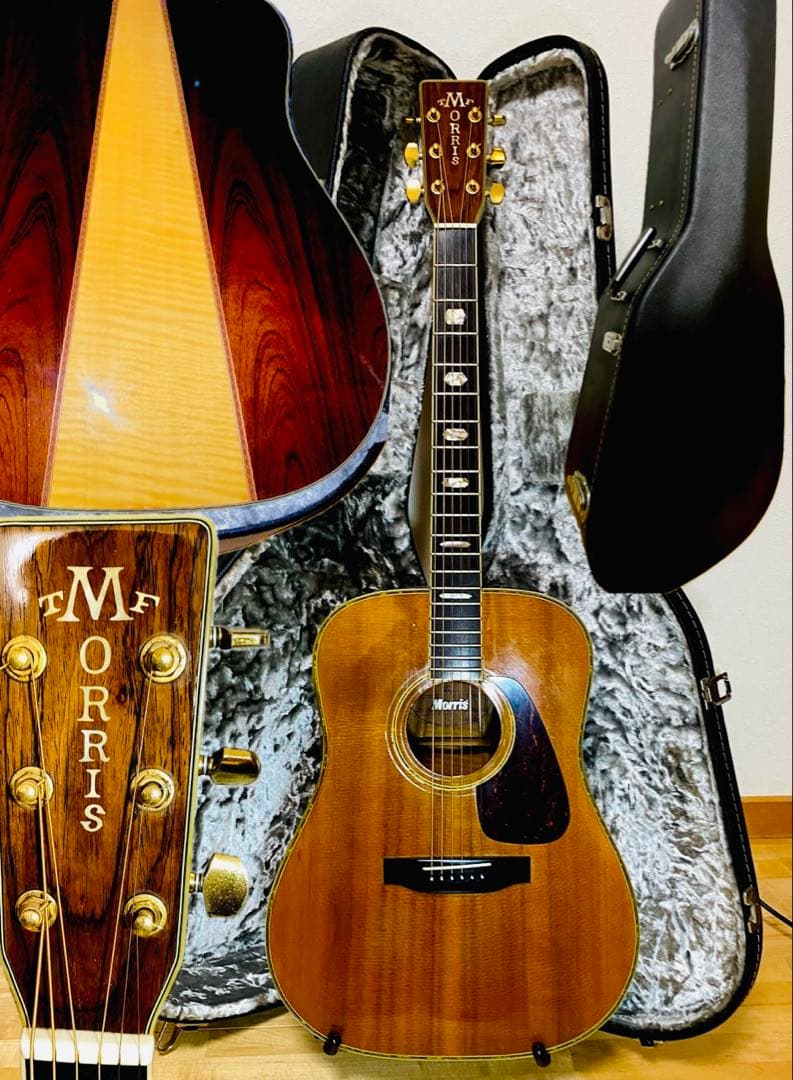 Morris アコースティックギター TF50スプルース単板ハカランダHC付