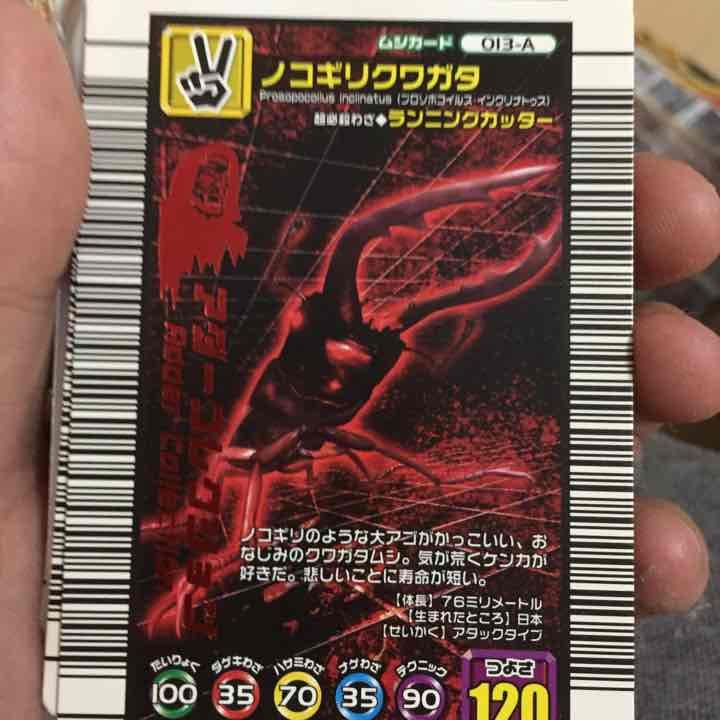 クワガタ