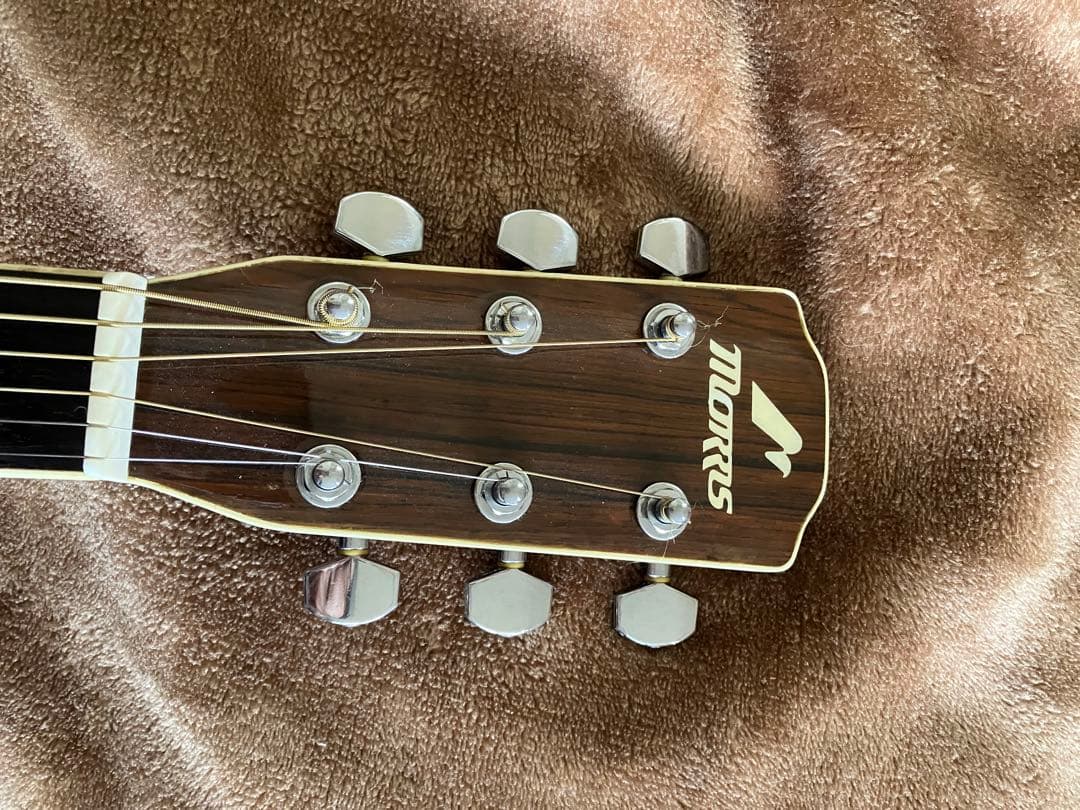 値下げ　MORRIS MF601 スプルース/ハカランダ