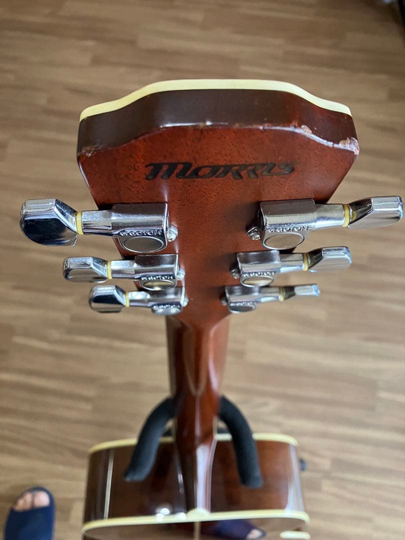 値下げ　MORRIS MF601 スプルース/ハカランダ