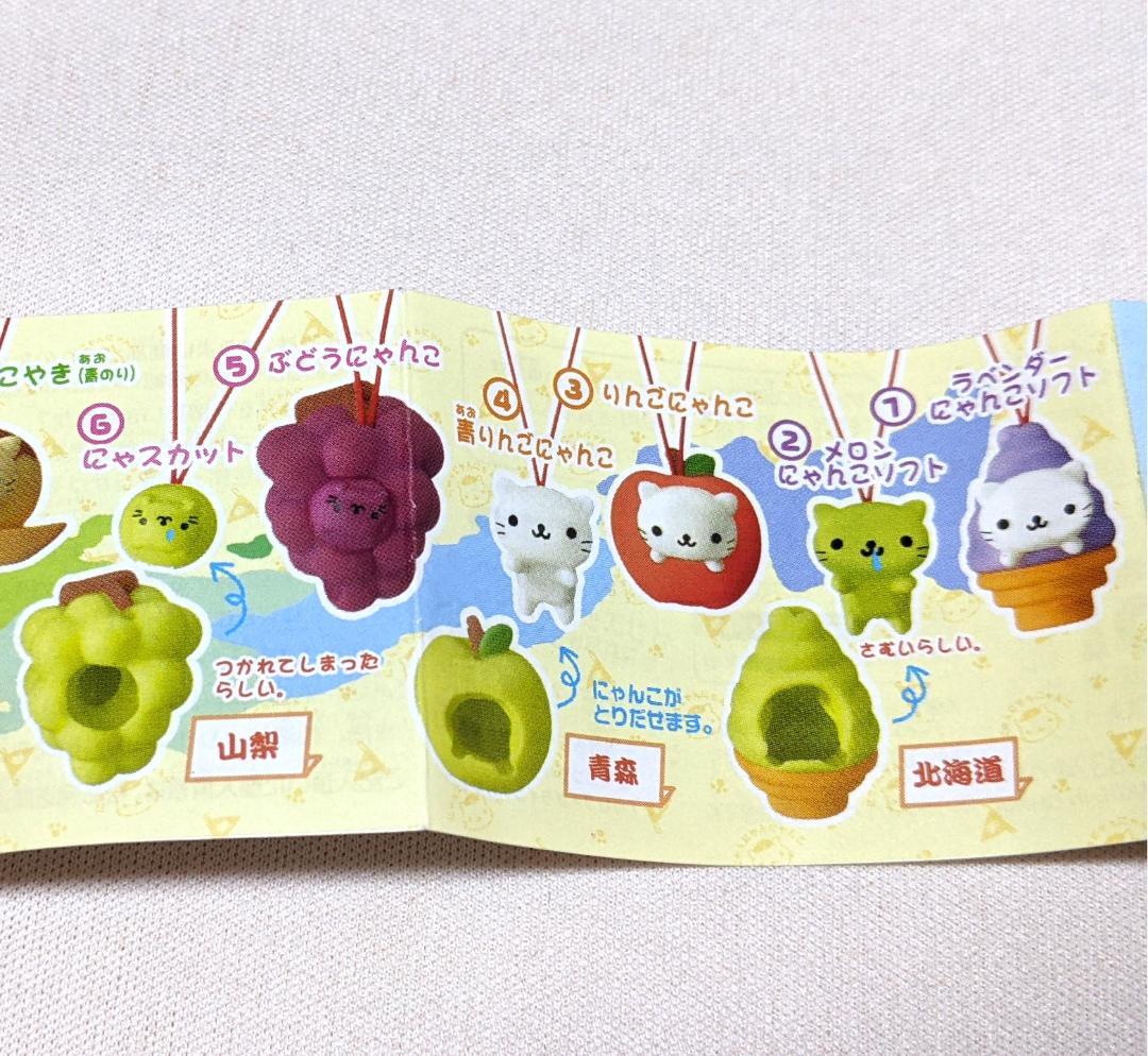 ■にゃんにゃんにゃんこ■おきがえにゃんこ　にゃんこツアー　５点セット