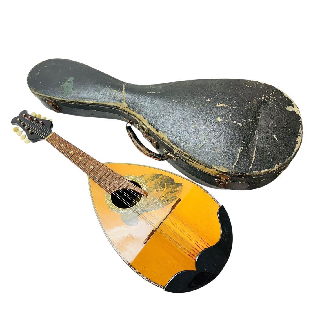 Suzuki Violin スズキバイオリン　マンドリン