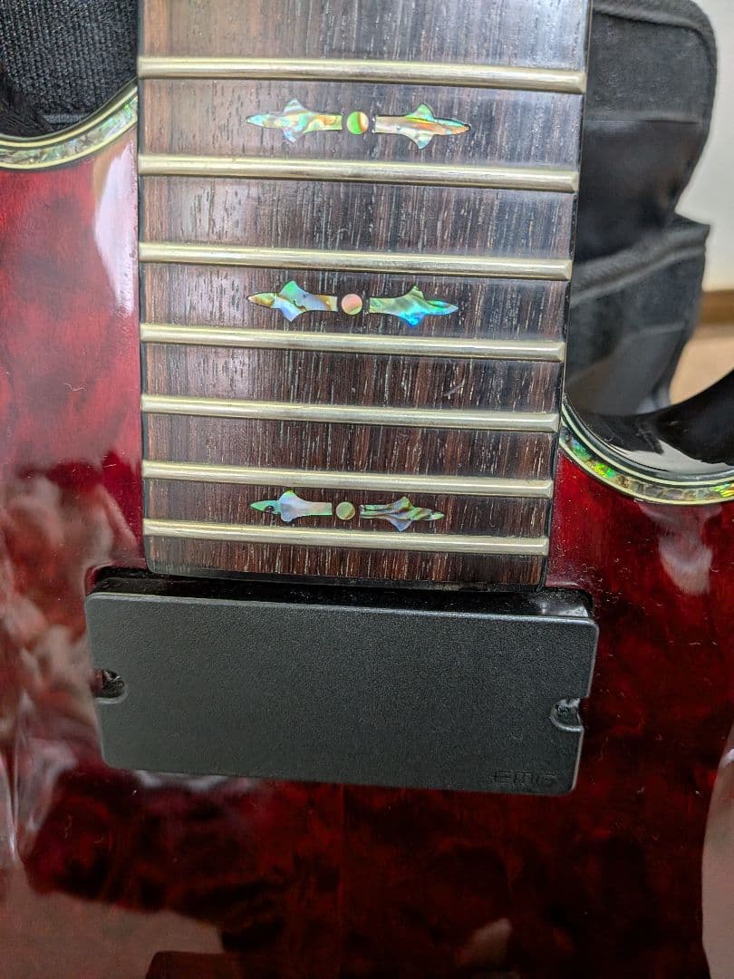 ギター Schecter C-7 HellRaiser [AD-C-7-HR](BCH)