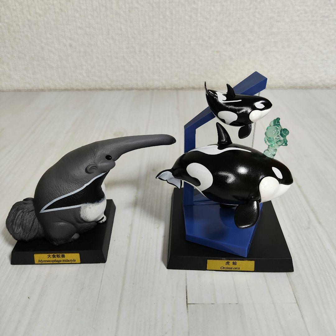 【動物の惑星】★ナイルワニ上海WF188体限定+オオアリクイ&シャチ★フィギュア