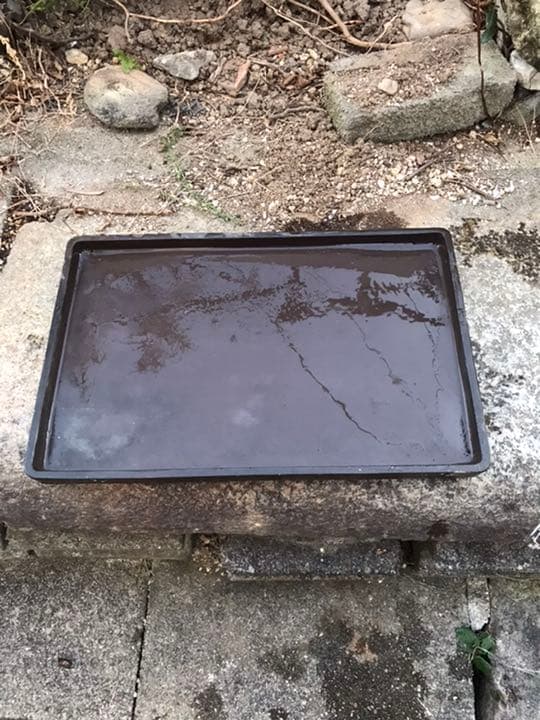 水盤　盆栽鉢　時代水庄園長方水盤水石40x26x3cm