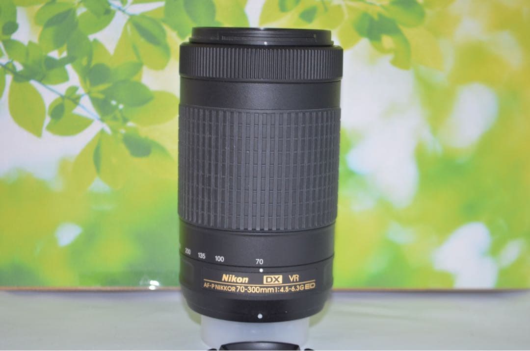 Nikon AF-P 70-300mm F4.5-6.3G☆超望遠レンズ