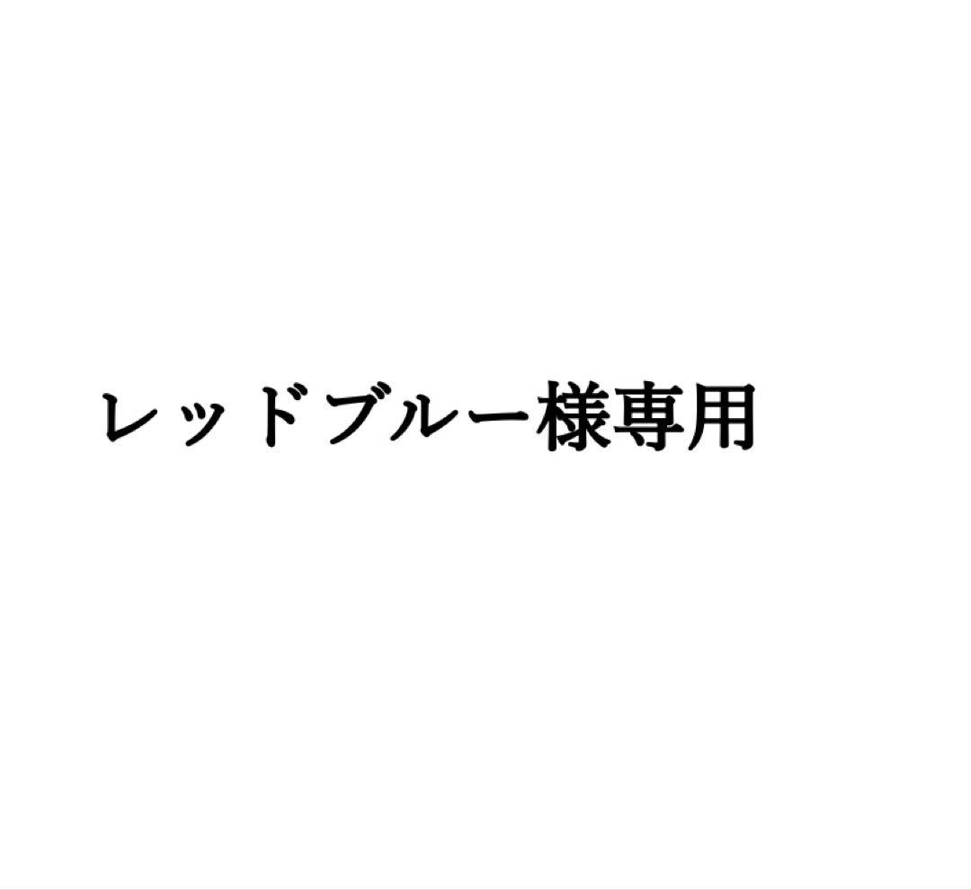 サイン入りクリスマス衣装写真