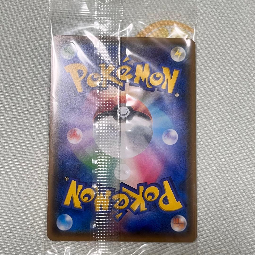 ポンチョを着たイーブイ　ブースター