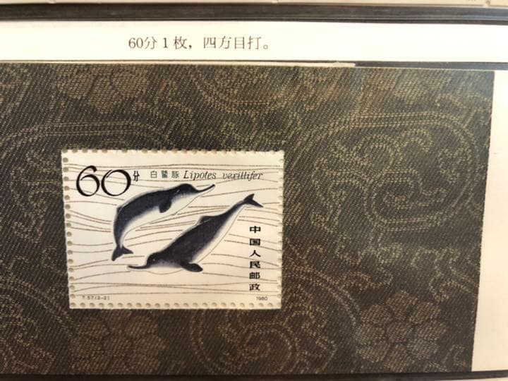 値下げ！【新品未使用】中国切手SB2切手帳 編(2)1980年 揚子江カワイルカ
