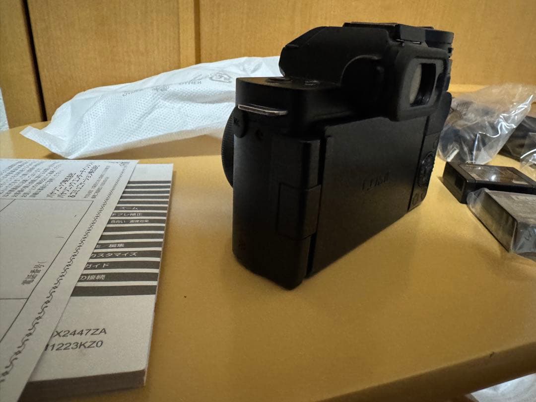 LUMIX DC-G100DW ダブルズームレンズキット