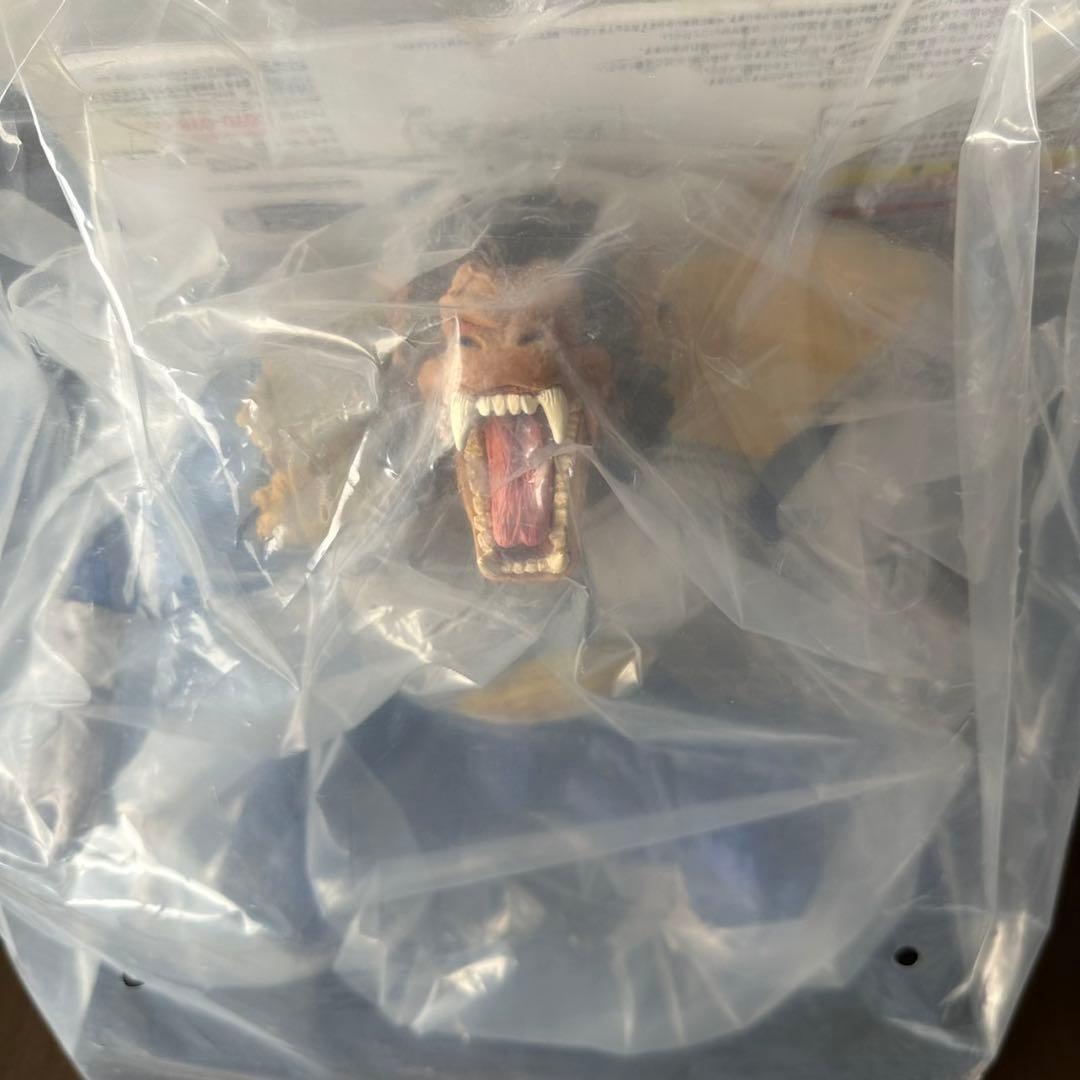 ひまわり出品