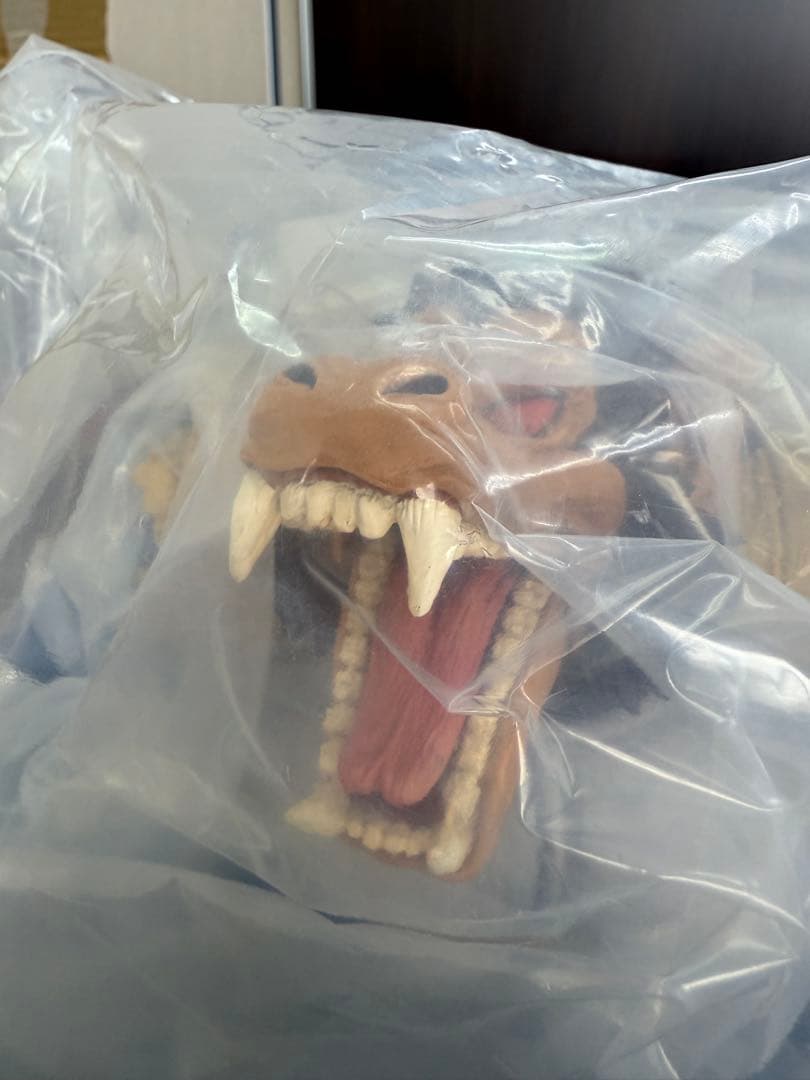 ひまわり出品