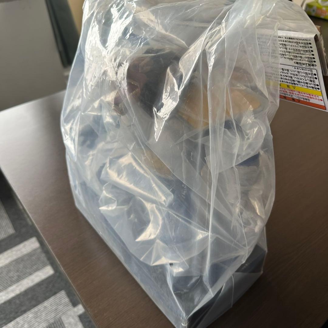 ひまわり出品