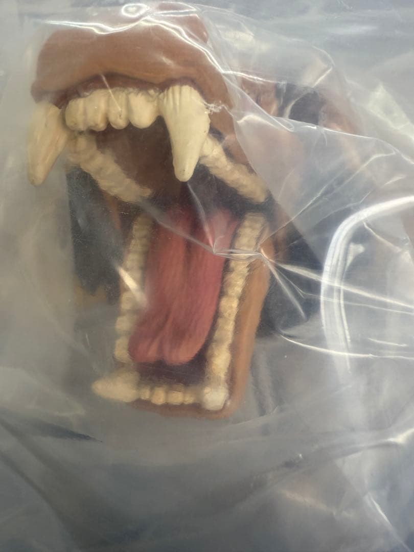 ひまわり出品