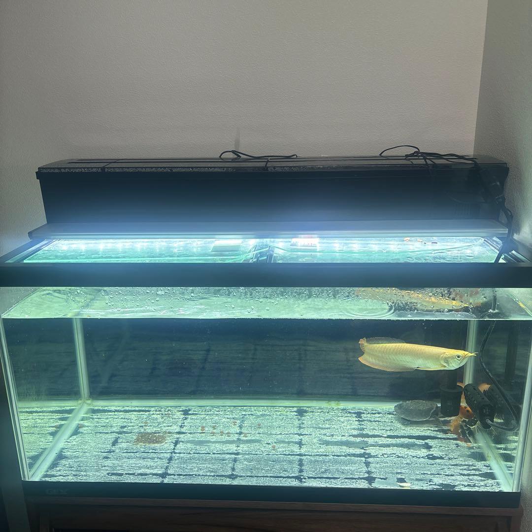 90センチ水槽