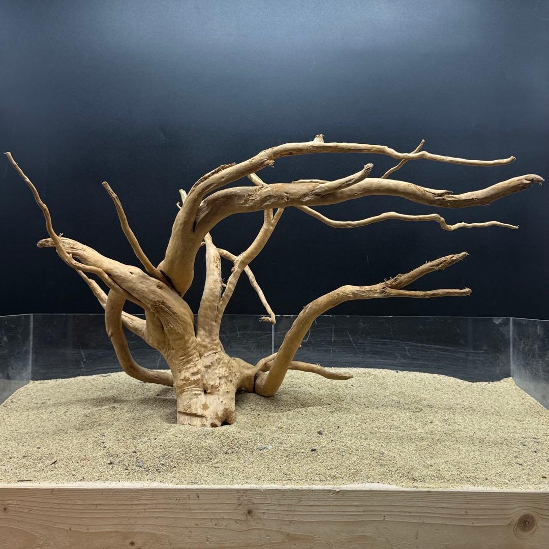 MDW-6989 特大ブランチウッド　流木　枝流木　アクアリウム