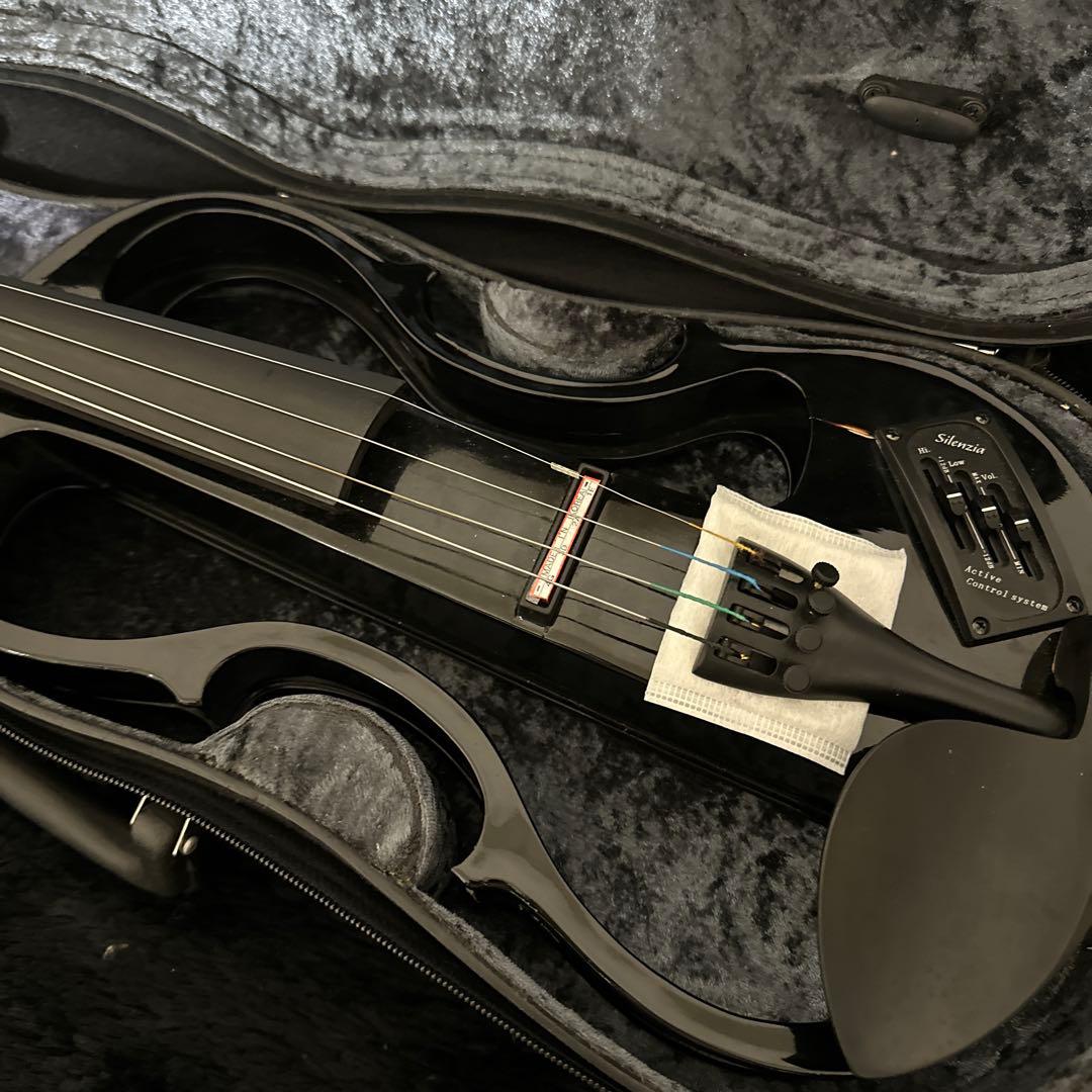 Carlo Giordano EV-202 エレキバイオリン 弦楽器 ケース付属