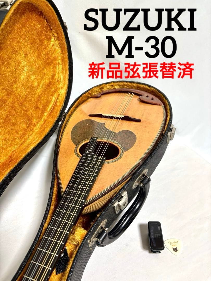 【新品弦張替済】SUZUKI マンドリン M-30 チューナー/ピック