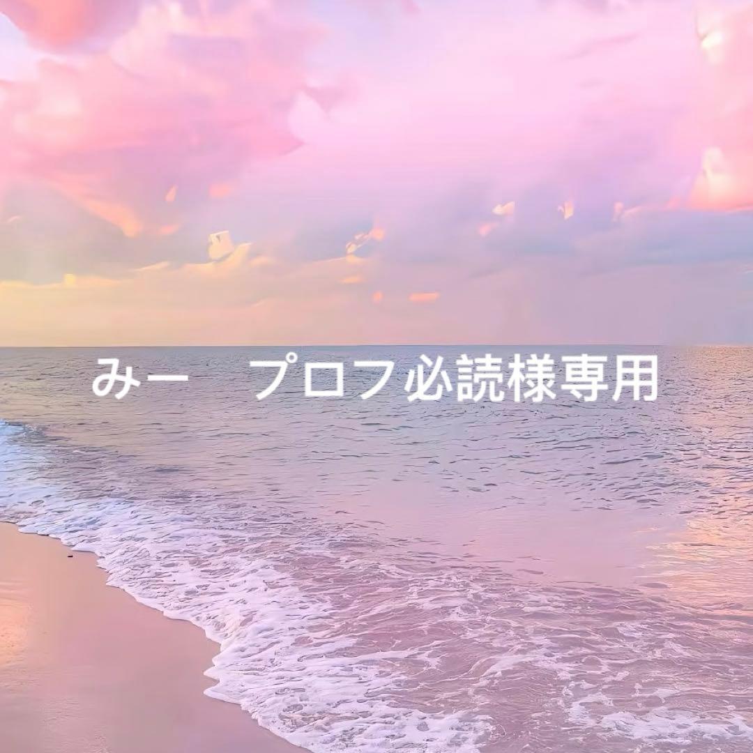 みー　プロフ必読