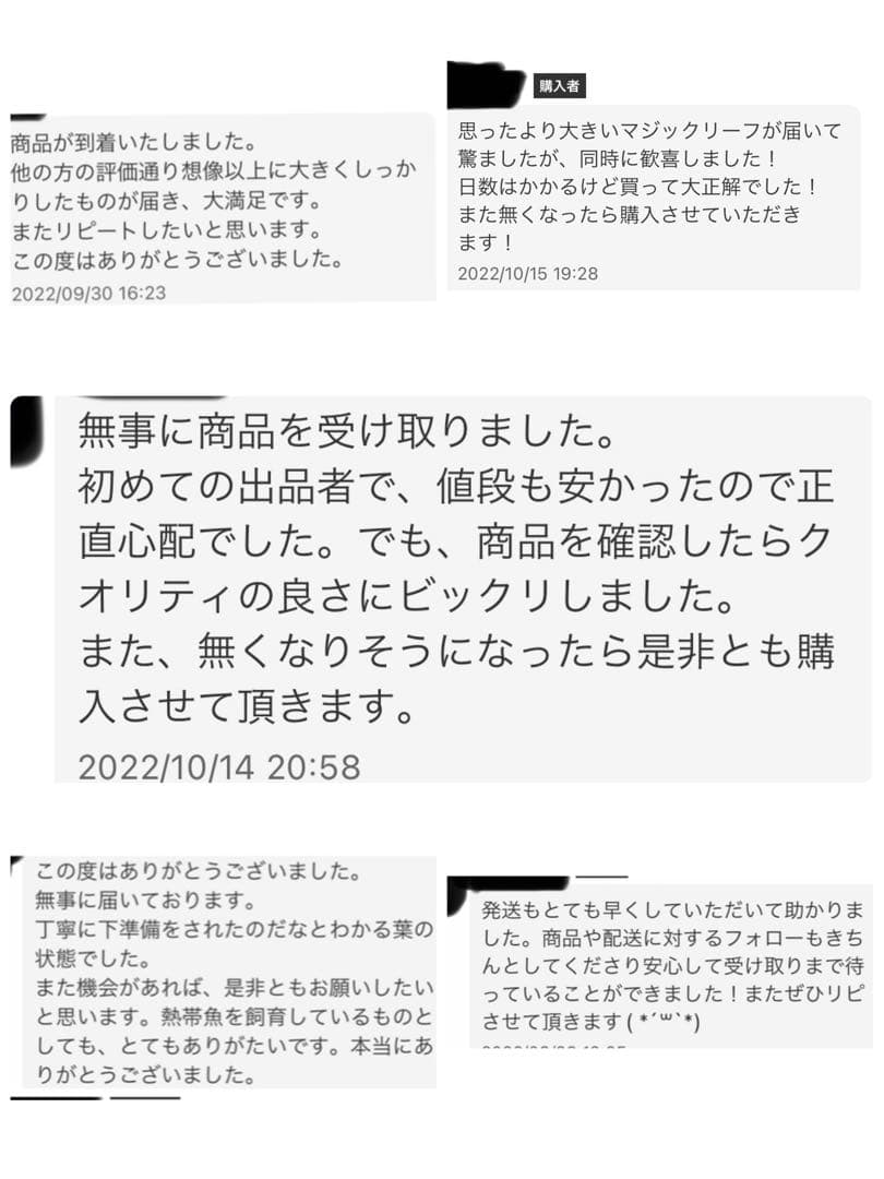 沖縄県やんばる産マジックリーフ 2kg UV殺菌灯照射済み①