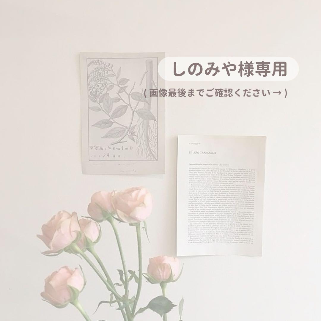 ♩しのみや出品