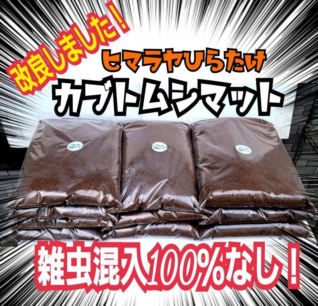 カブトムシ幼虫に抜群！ヒマラヤひらたけ発酵マット【6袋セット】大きく育ちます！