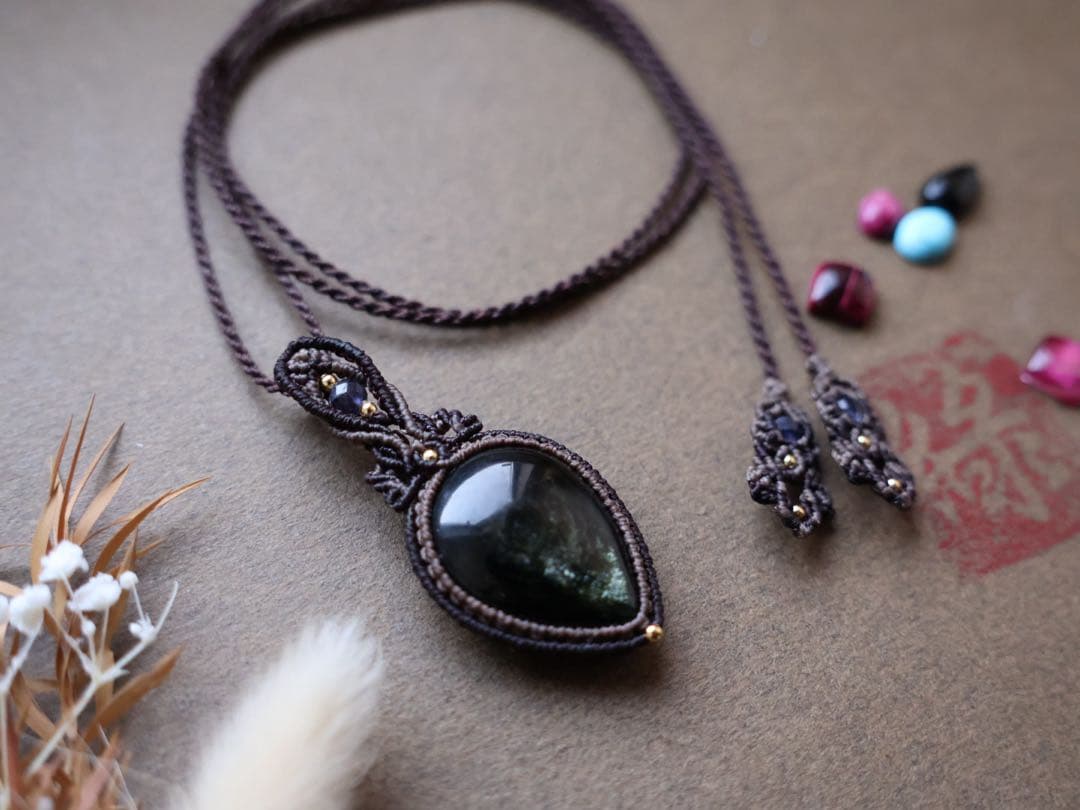 でんちゃん 11/8