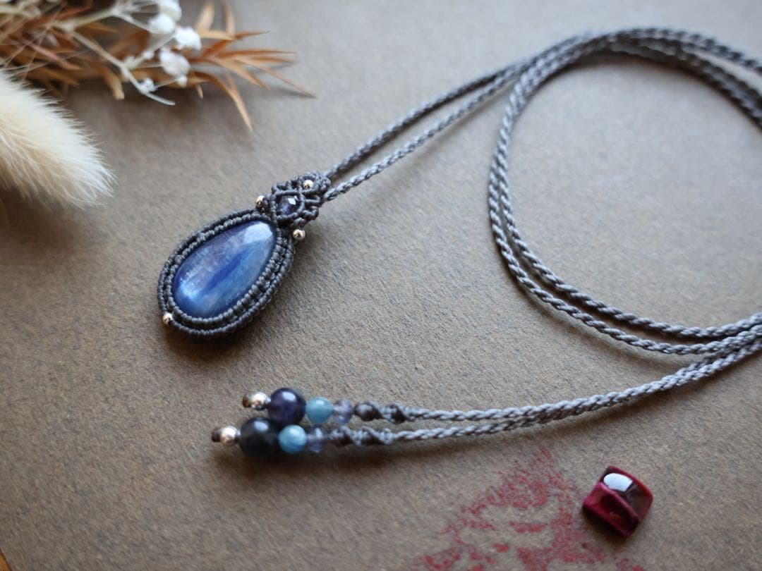 でんちゃん 11/8