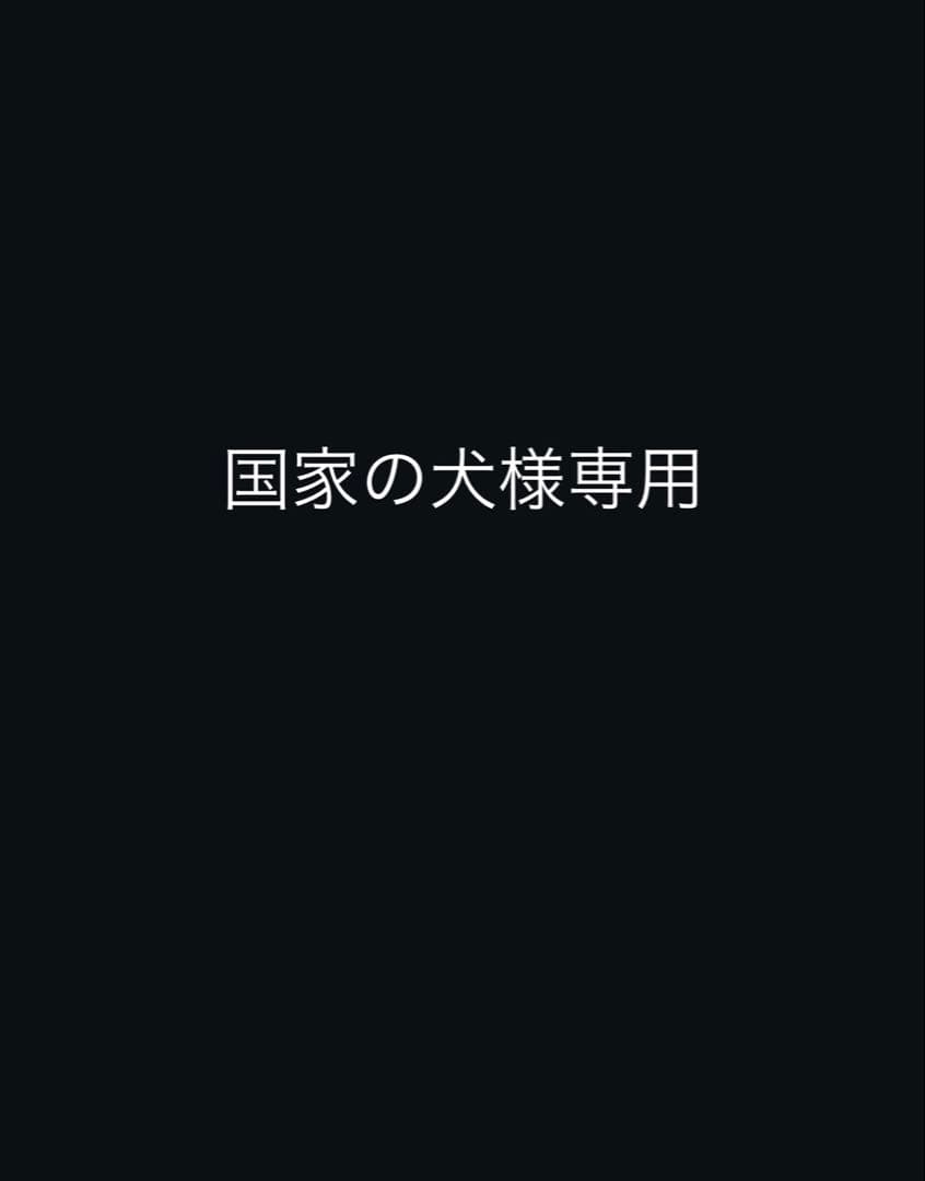 国家の犬 rick owens プッシャーパンツ