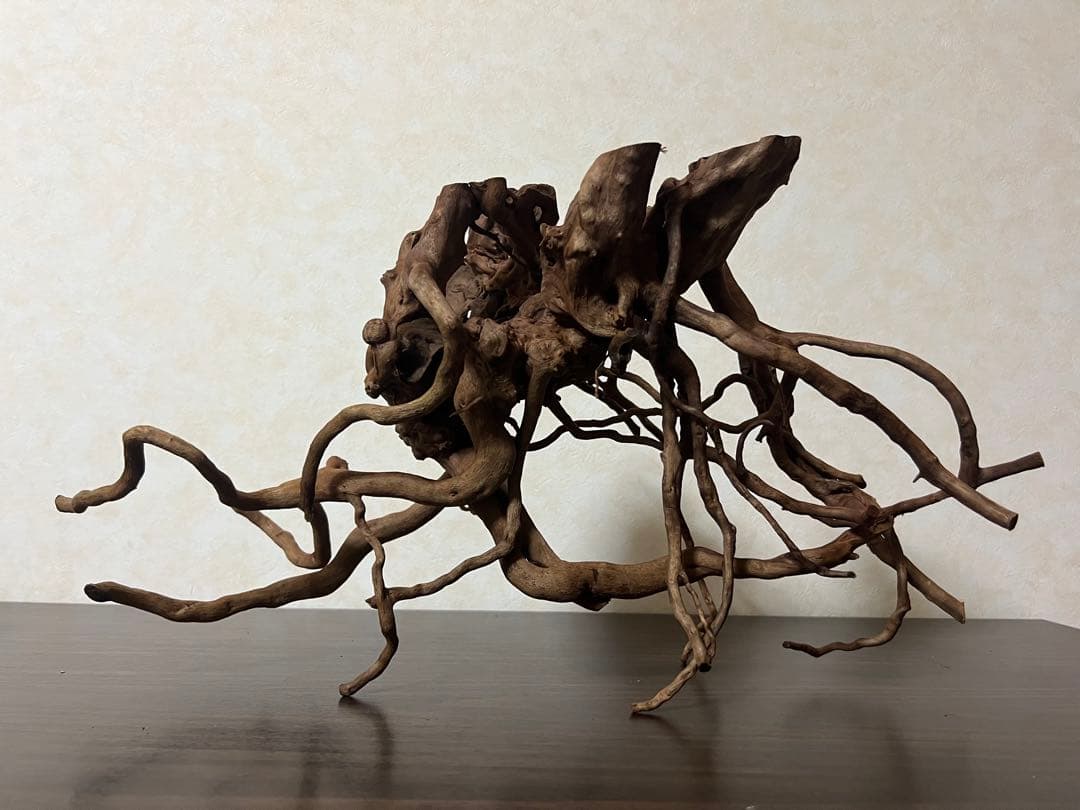 51608 ブランチウッド　流木　アクアリウム 沈水確認済