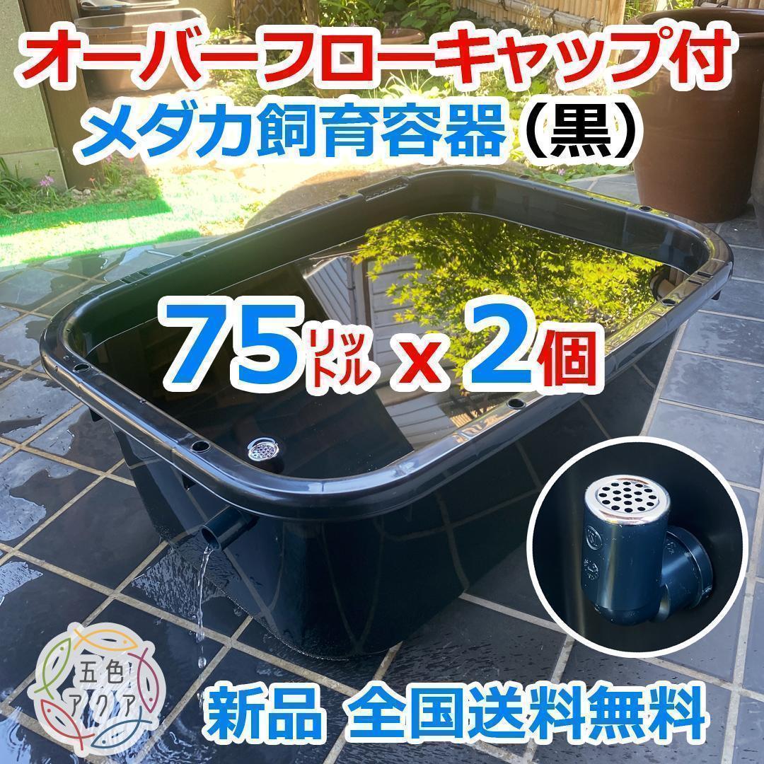 【新仕様】メダカ飼育ケース 75㍑黒x2個 オーバーフロー対策済 メダカ飼育容器