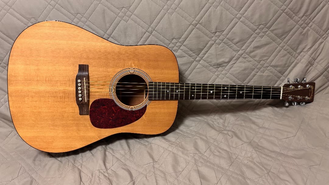 ギター Martin D-1